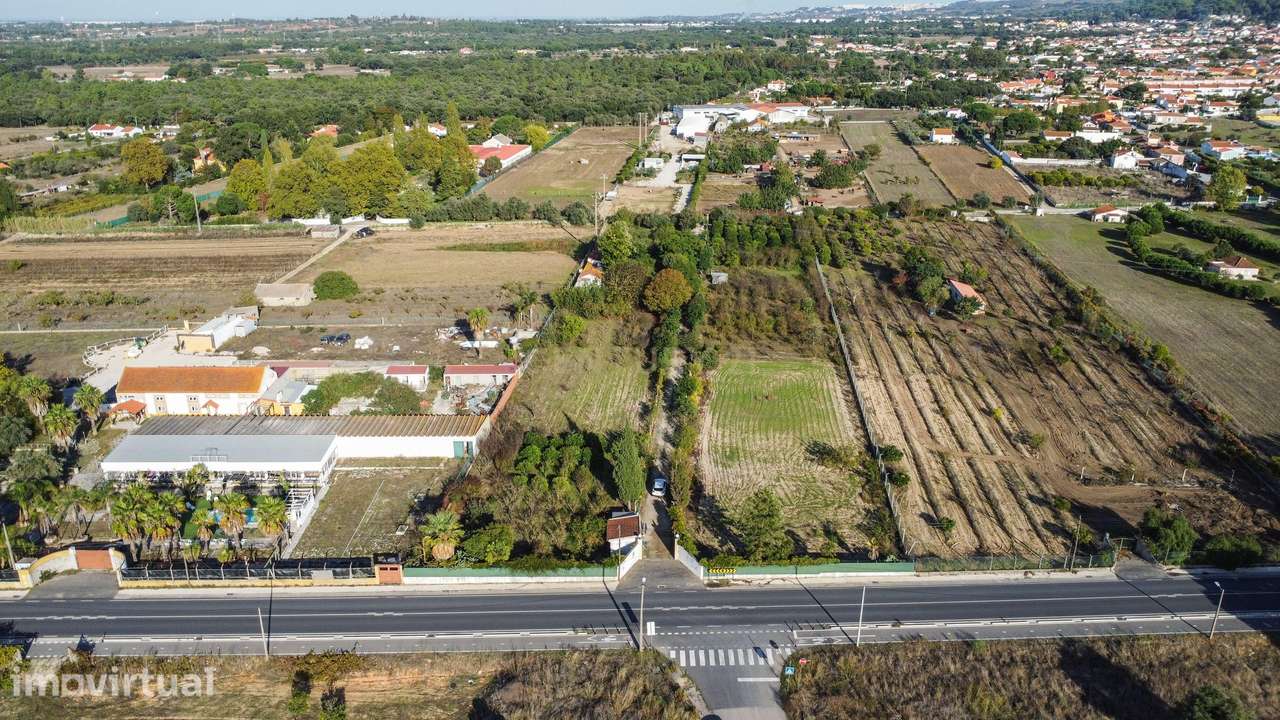 Terreno Rústico em Quinta do Anjo, Palmela - 11.800m2 - Grande imagem: 3/21