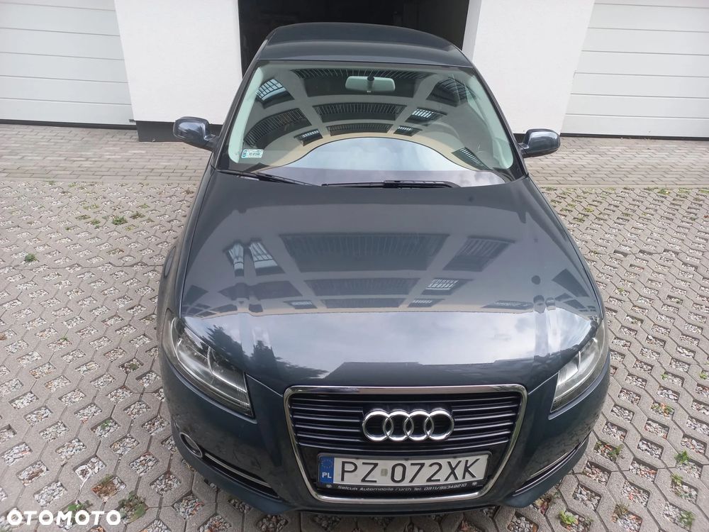 Audi A3 3-drzwiowe 1.6 Ambition - 15