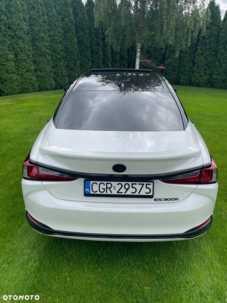 Lexus ES 300h Business Edition + - 7