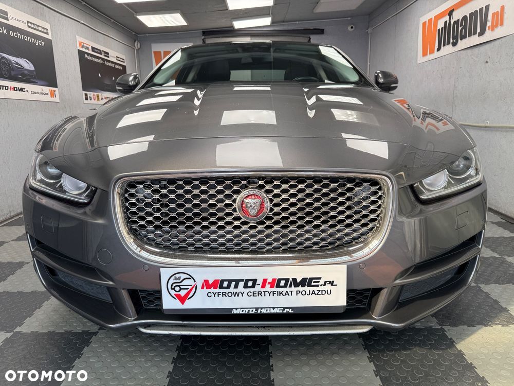 Jaguar XE - 26
