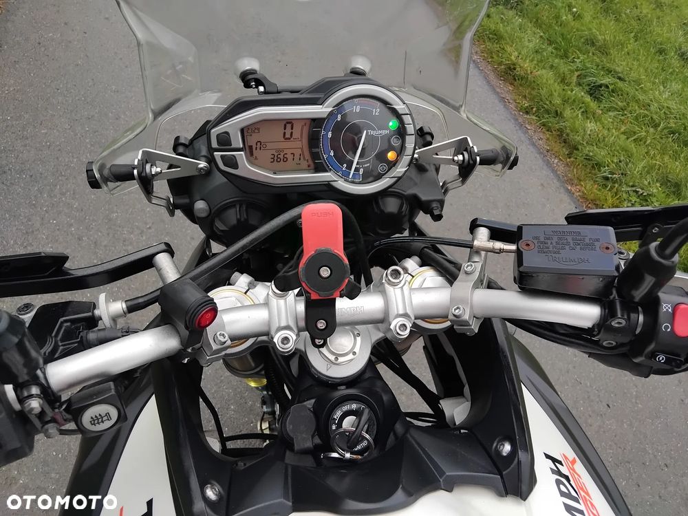 Triumph Tiger - 6