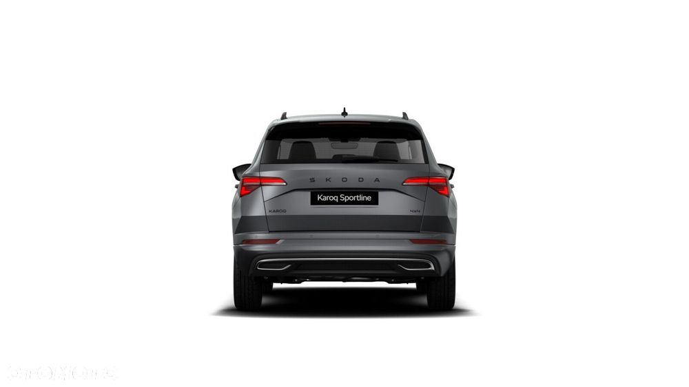 Skoda Karoq - 3