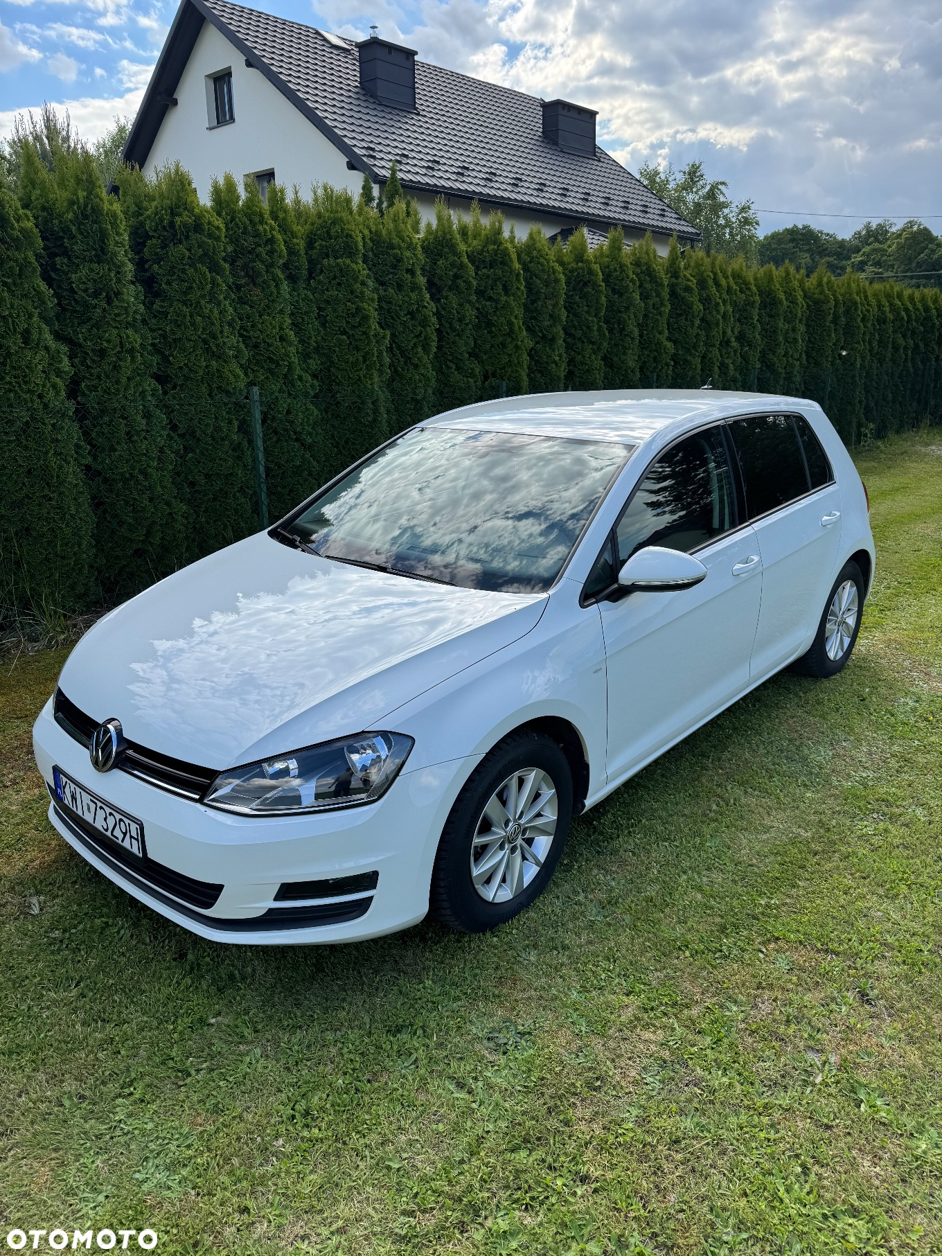 Volkswagen Golf - 5