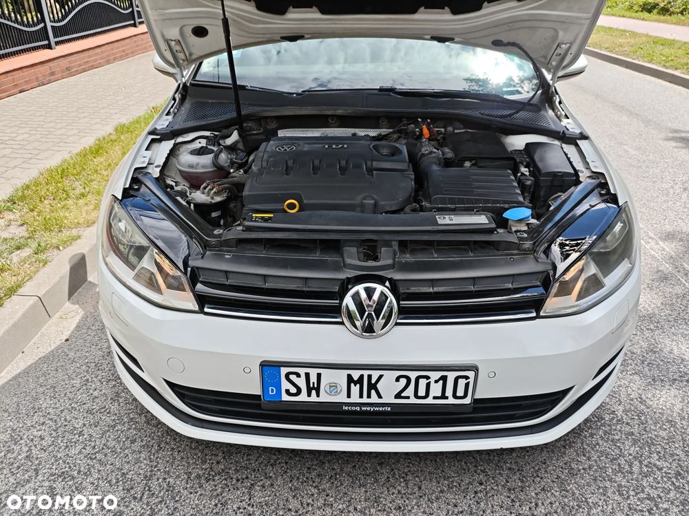 Volkswagen Golf 1.6 TDI BlueMotion Technology Cup - 35
