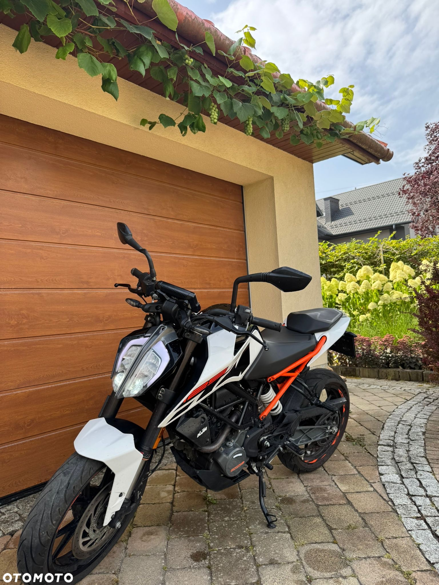 KTM Duke - 7