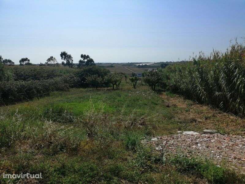 Terreno entre a cidade e as praias com 3720m2 - Grande imagem: 3/34