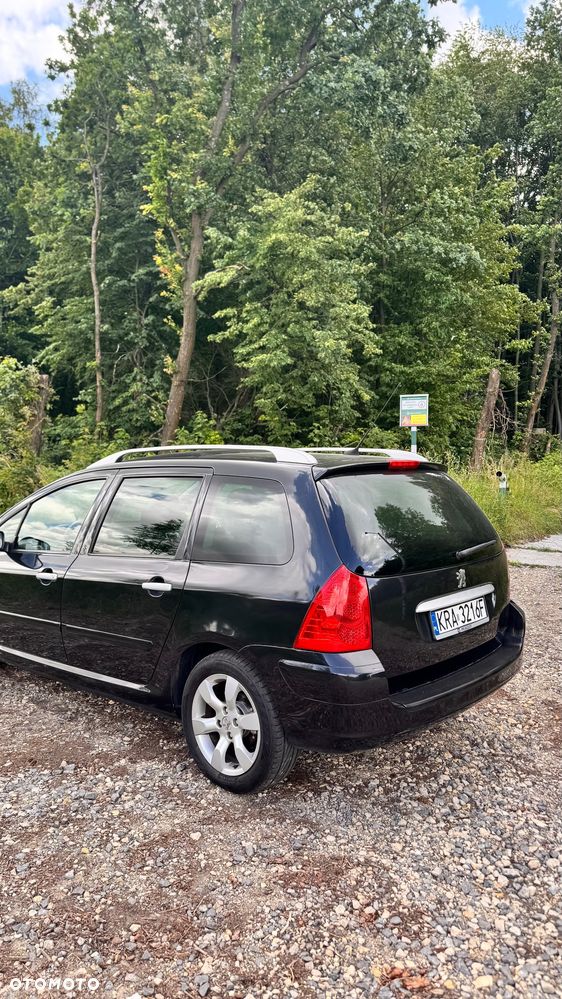 Peugeot 307 1.6 Oxygene - 10