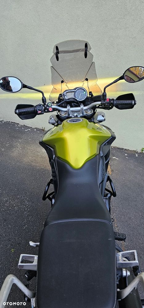 Triumph Tiger - 14