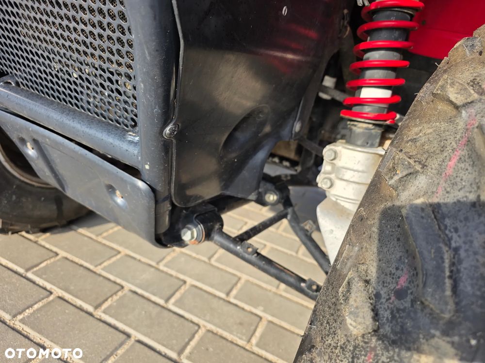 Kawasaki Brute Force - 8