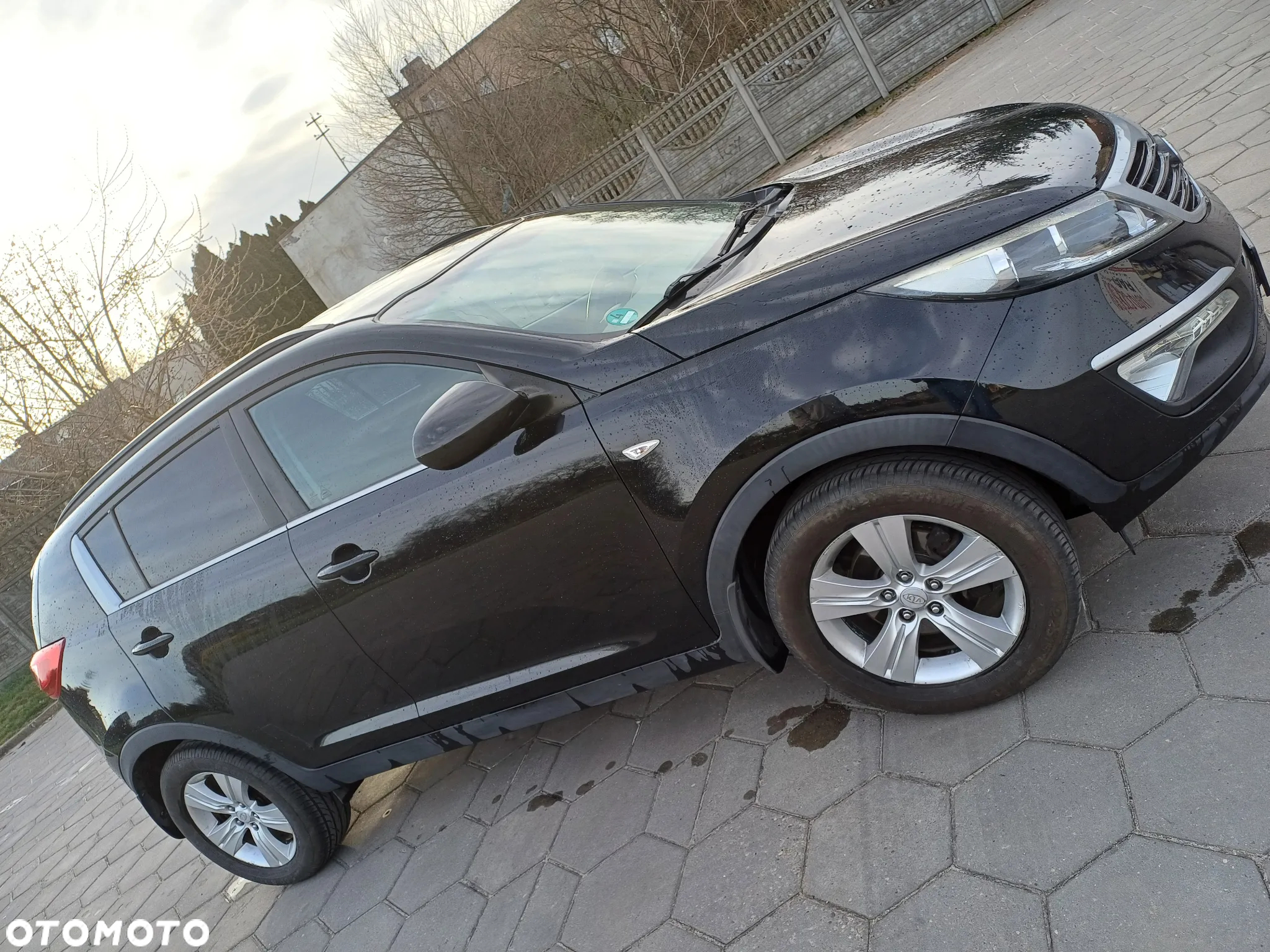 Kia Sportage - 6
