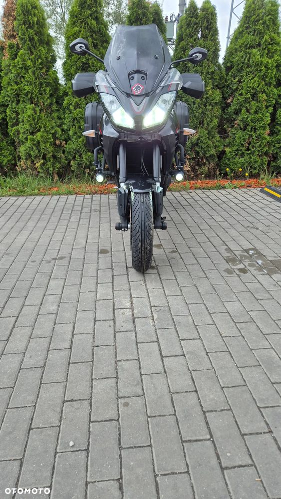 Triumph Tiger - 37