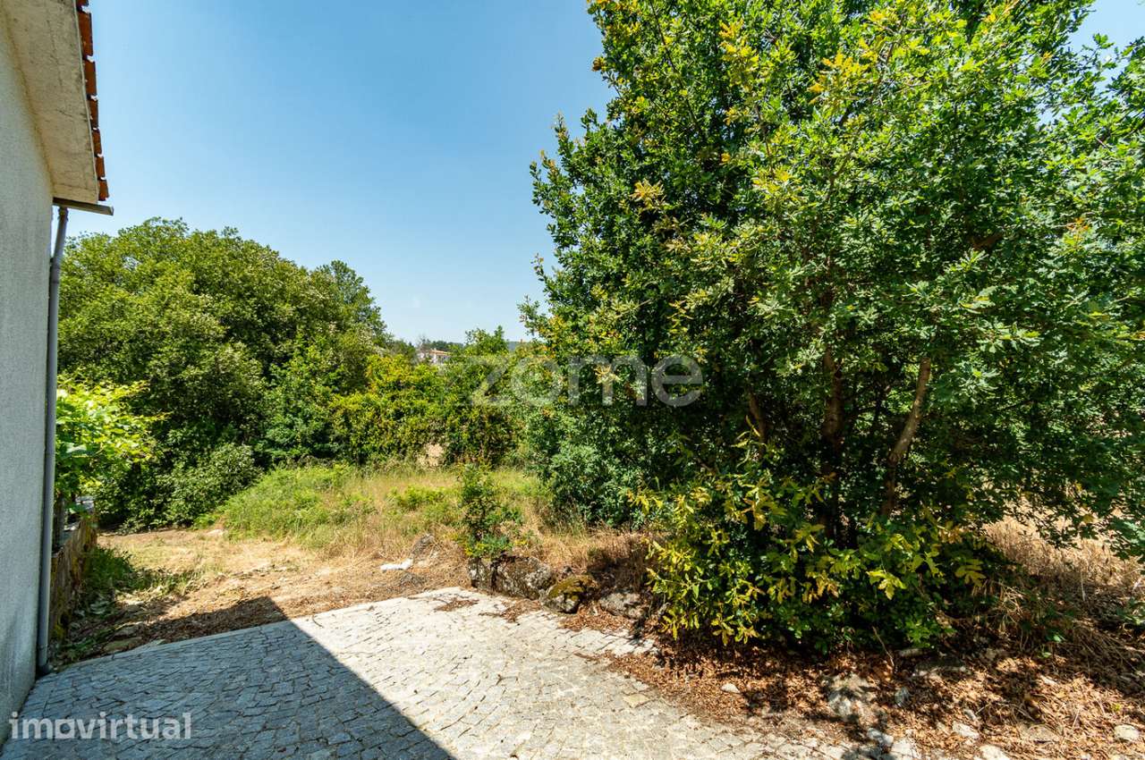Terreno com Potencial Turístico na Região Demarcada do Dão - Grande imagem: 3/32
