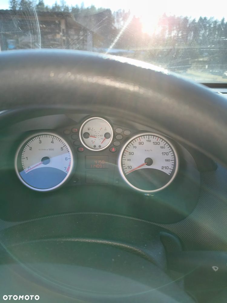 Peugeot 206 plus 60 - 13