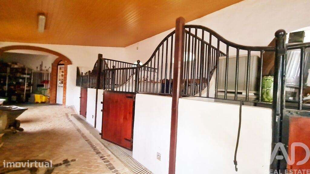 Quinta T5 em Carvalhal de 548 m2 - Grande imagem: 2/40