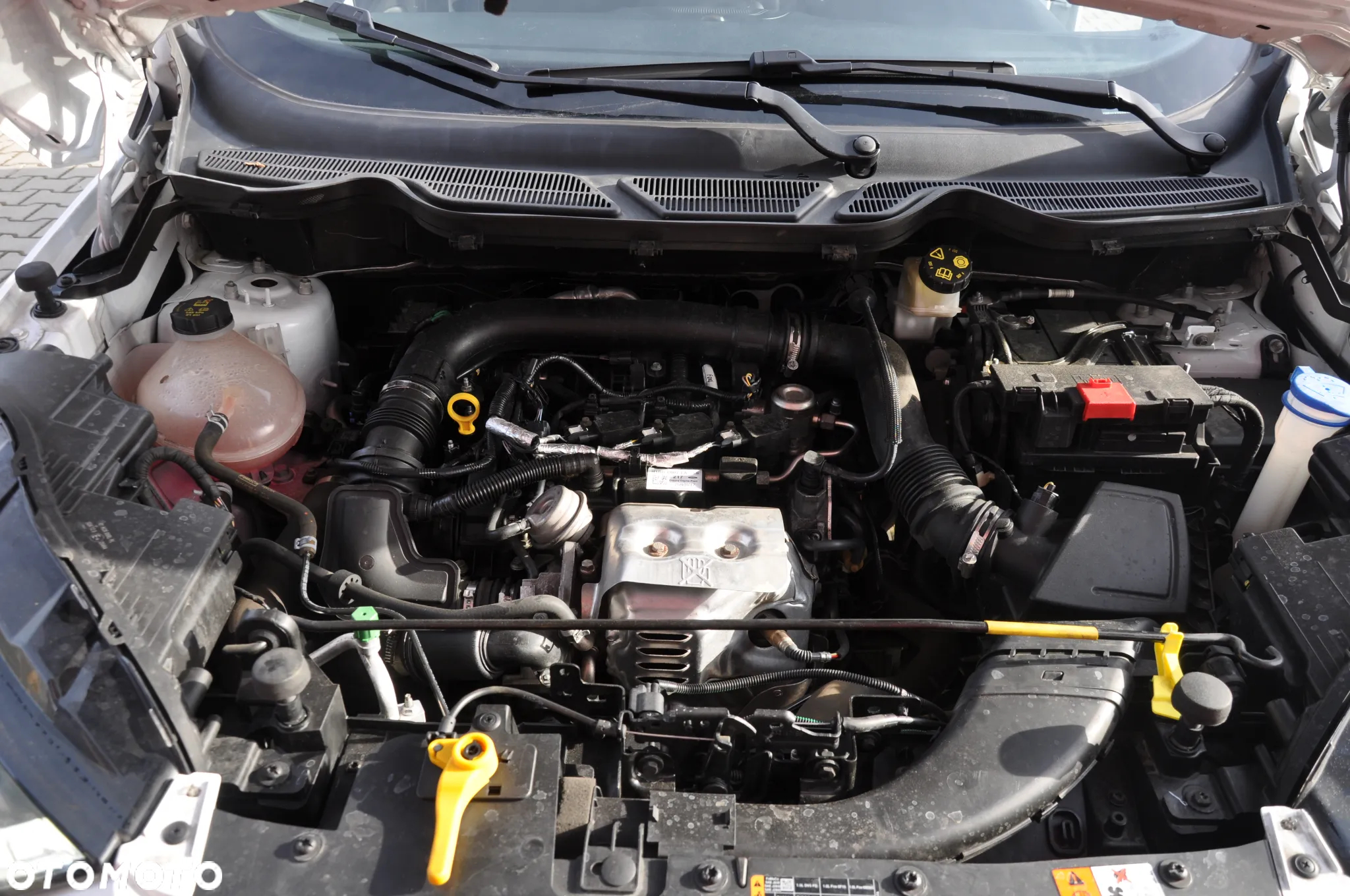 Ford EcoSport 1.0 EcoBoost ST-Line Black ASS - 24