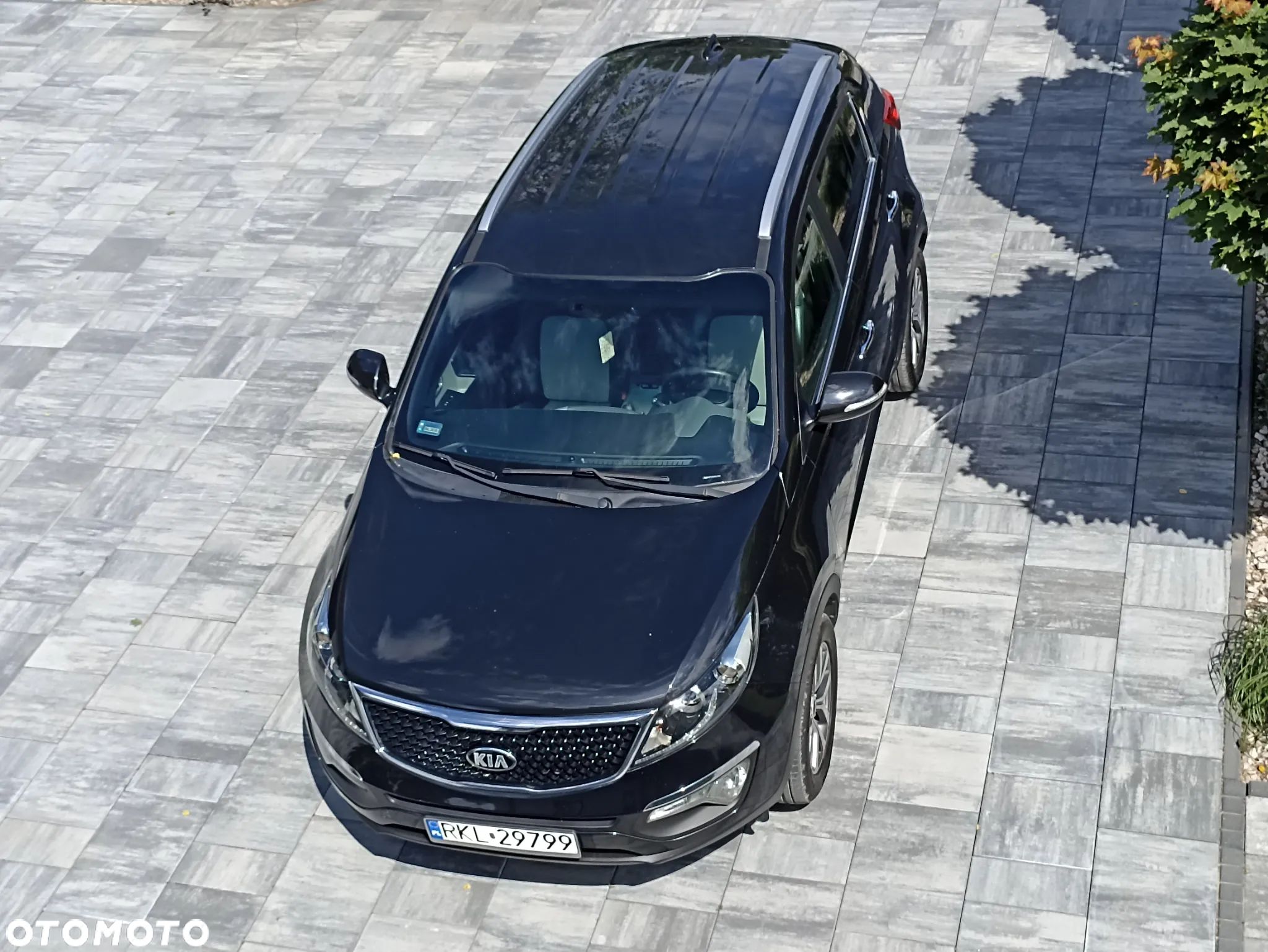 Kia Sportage - 1