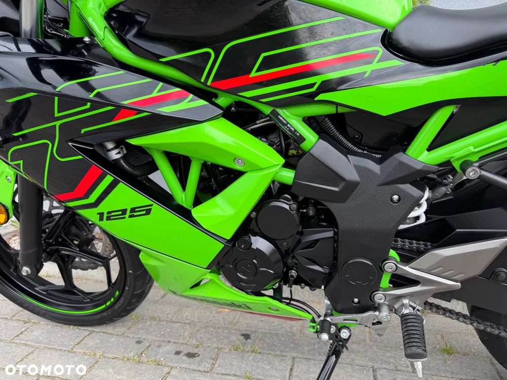 Kawasaki Ninja - 28