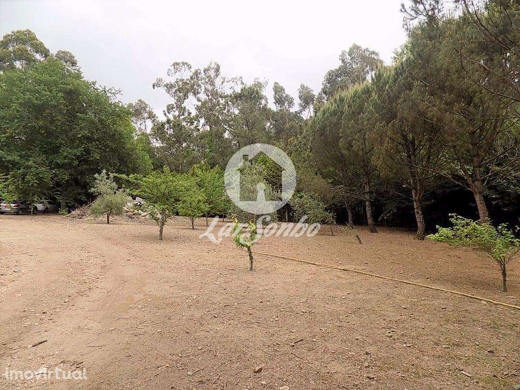 Terreno inserido em zona verde c/ 9200m2 em Cruz, Vila Nova de Fama... - Grande imagem: 5/21