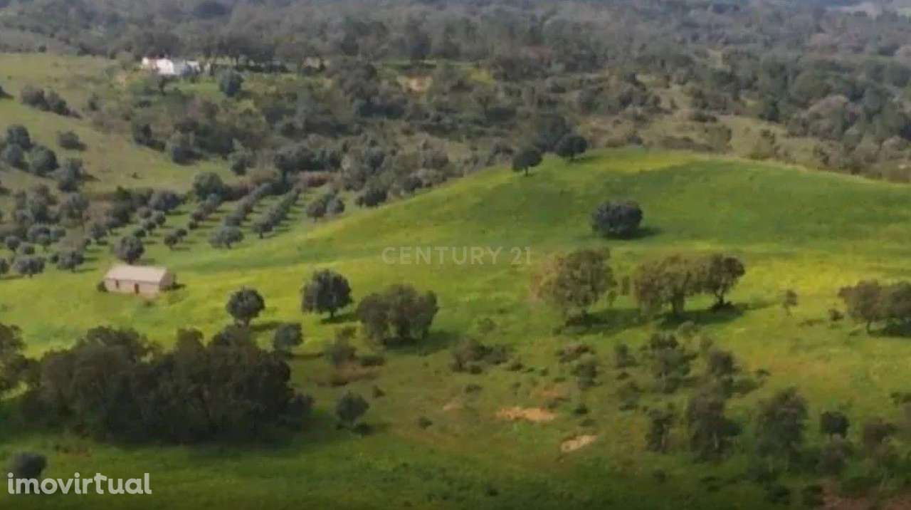Terreno c/ Projeto Aprovado para Hotel - Grande imagem: 5/10