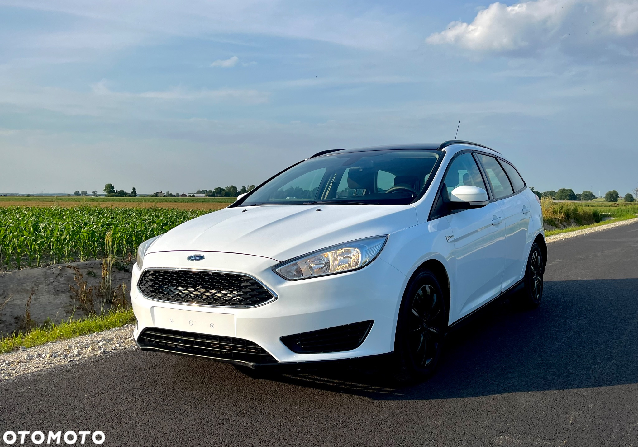 Ford Focus 1.6 TDCi DPF Start-Stopp-System SYNC Edition - 10