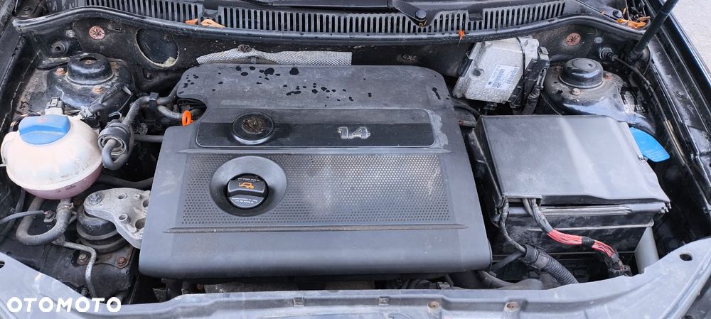 Volkswagen Polo Cross - 6