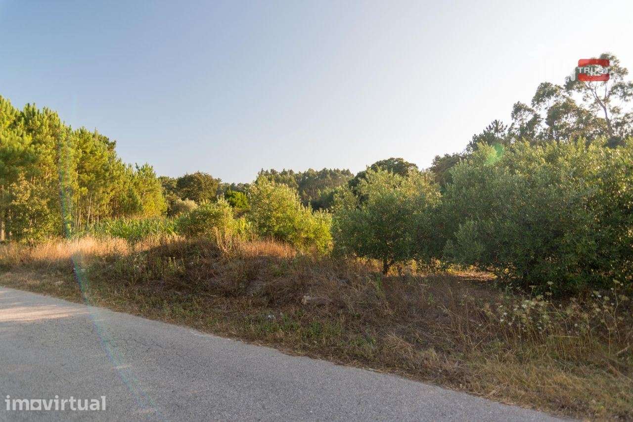 TERRENO RUSTICO COM AREA DE 680 COM OLIVAL EM BOUCEIROS PORTO DE MO... - Grande imagem: 4/4