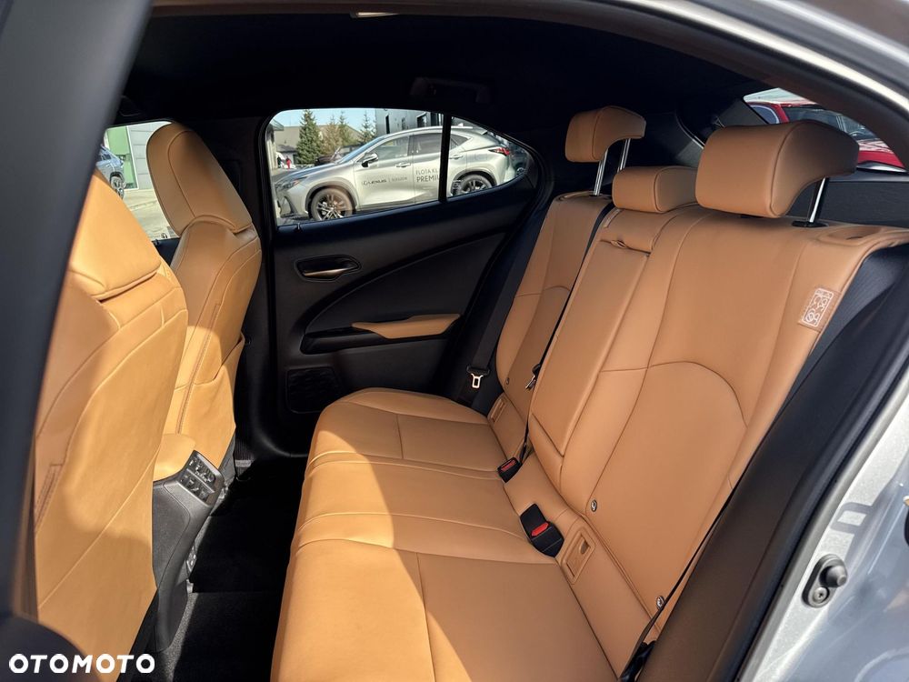 Lexus UX 250h GPF F Sport Design 2WD - 14