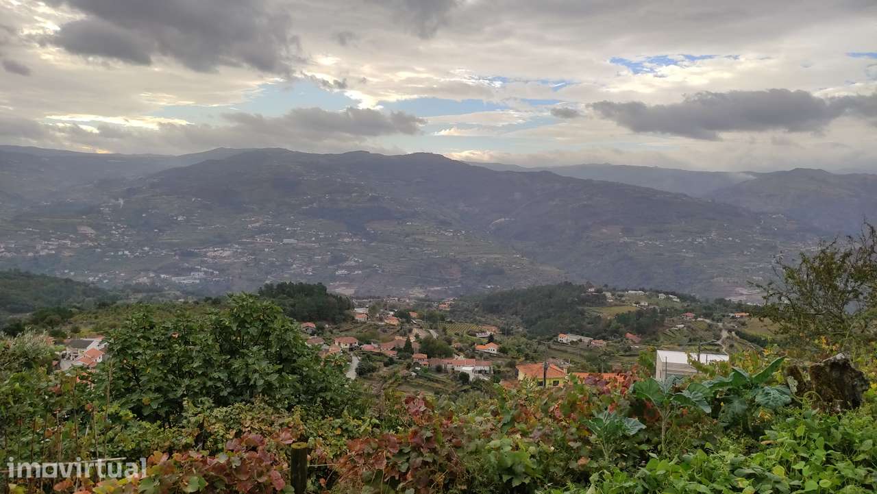 Moradia Devoluta T0 Venda em Santa Cruz do Douro e São Tomé de Covelas - Grande imagem: 3/21