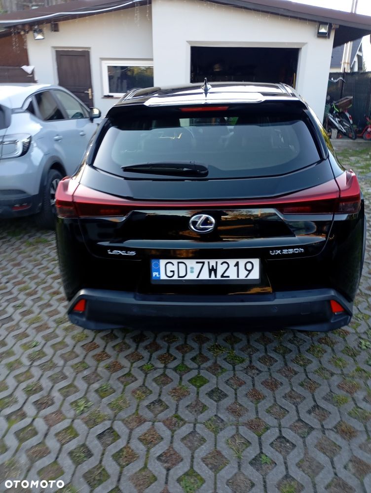Lexus Ux 2020 photo 4