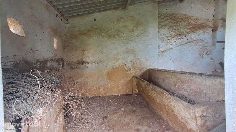 Quintinha com casa em ruínas para reconstrução – Quelfes, Olhão - Grande imagem: 4/11