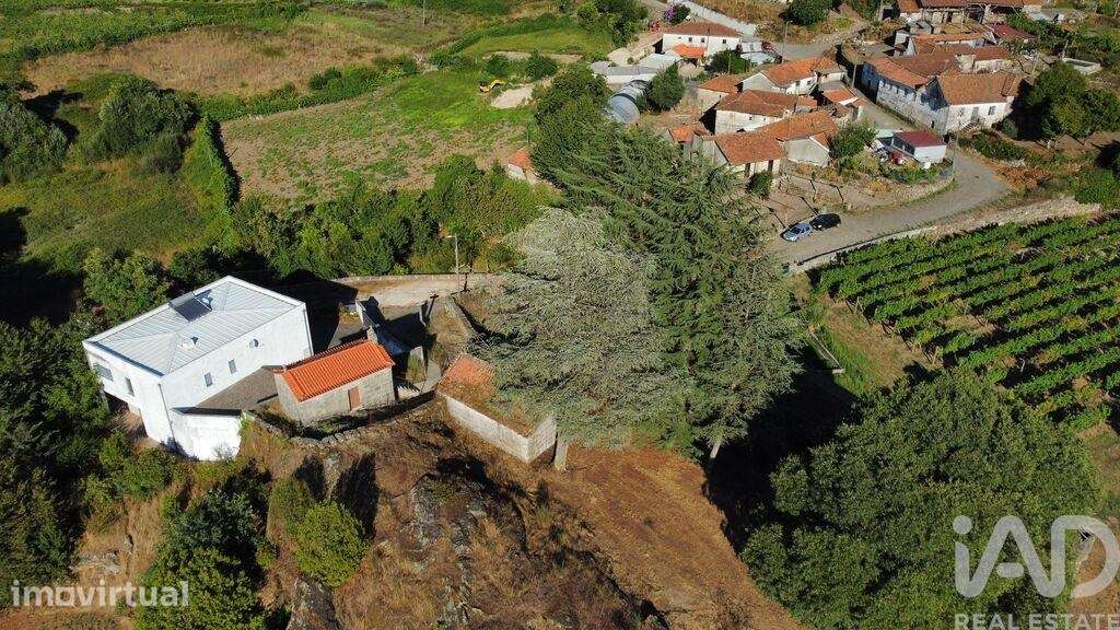 Quinta rural T2 em Figueiró de 136 m2 - Grande imagem: 4/25