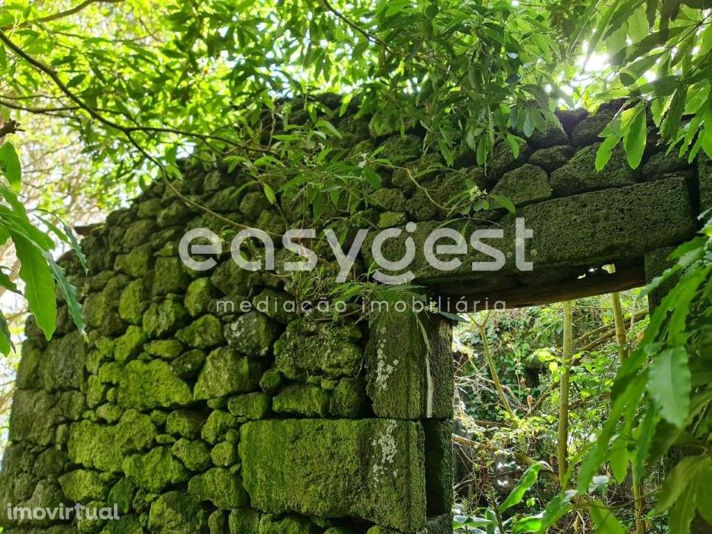 Pequena Ruina em pedra com vista mar em São João do Pico - Grande imagem: 4/15