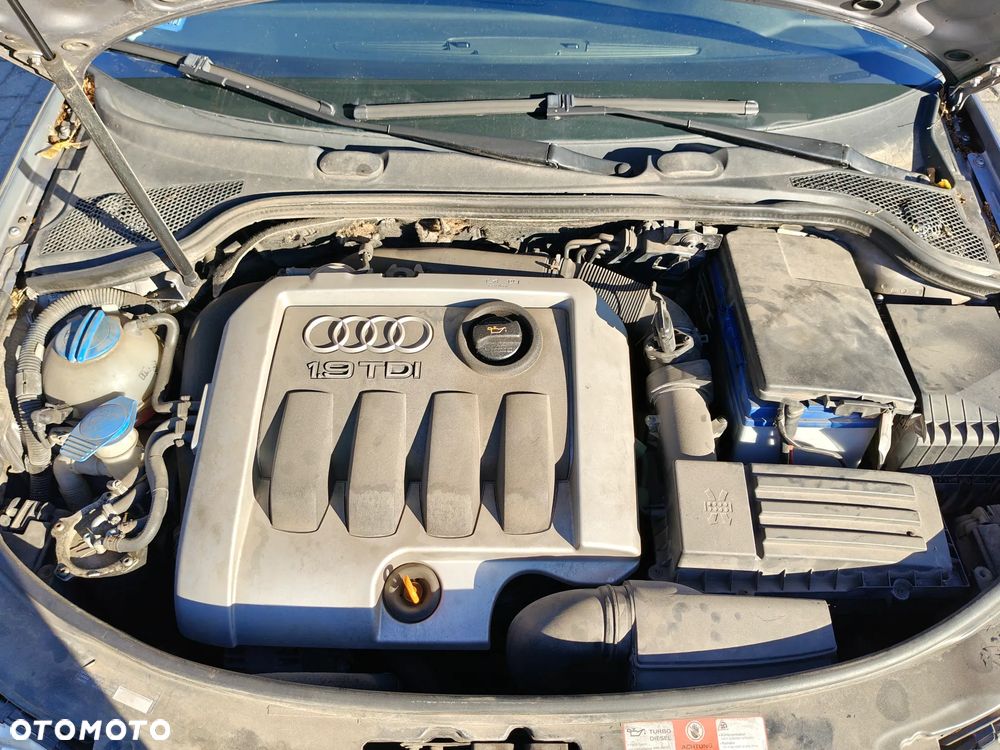 Audi A3 3-drzwiowe 1.9 TDI DPF Ambiente - 9