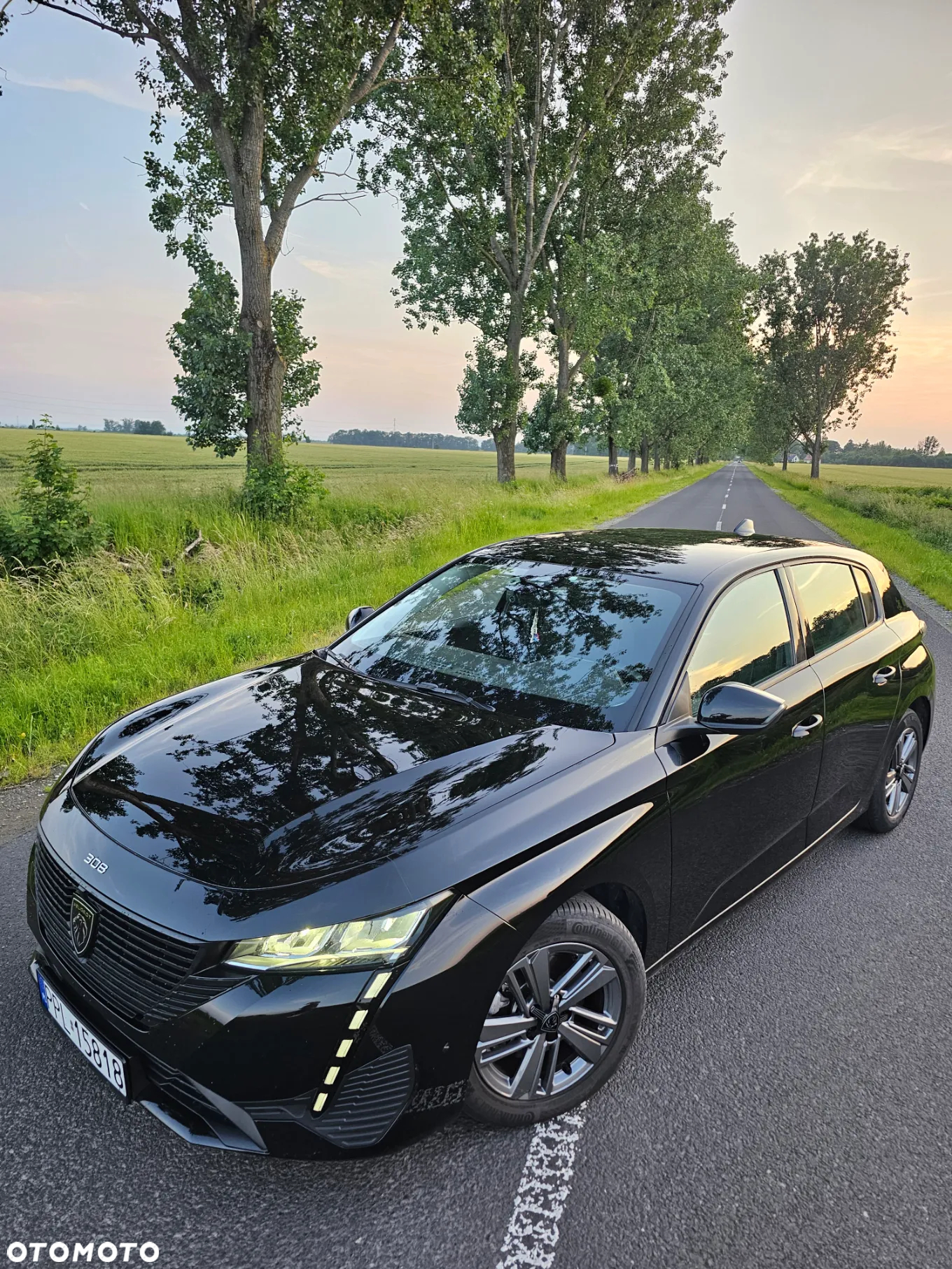 Peugeot 308 1.5 BlueHDi Allure S&S EAT8 - 2