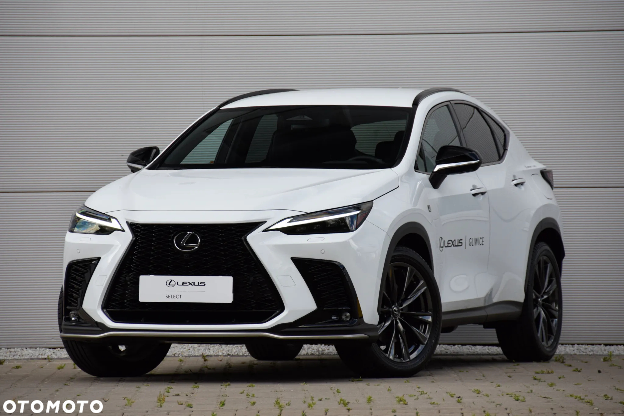 Lexus NX 450h+ F Sport AWD - 2