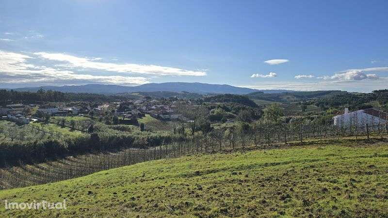 Terreno com 2.500 m² - Grande imagem: 2/5