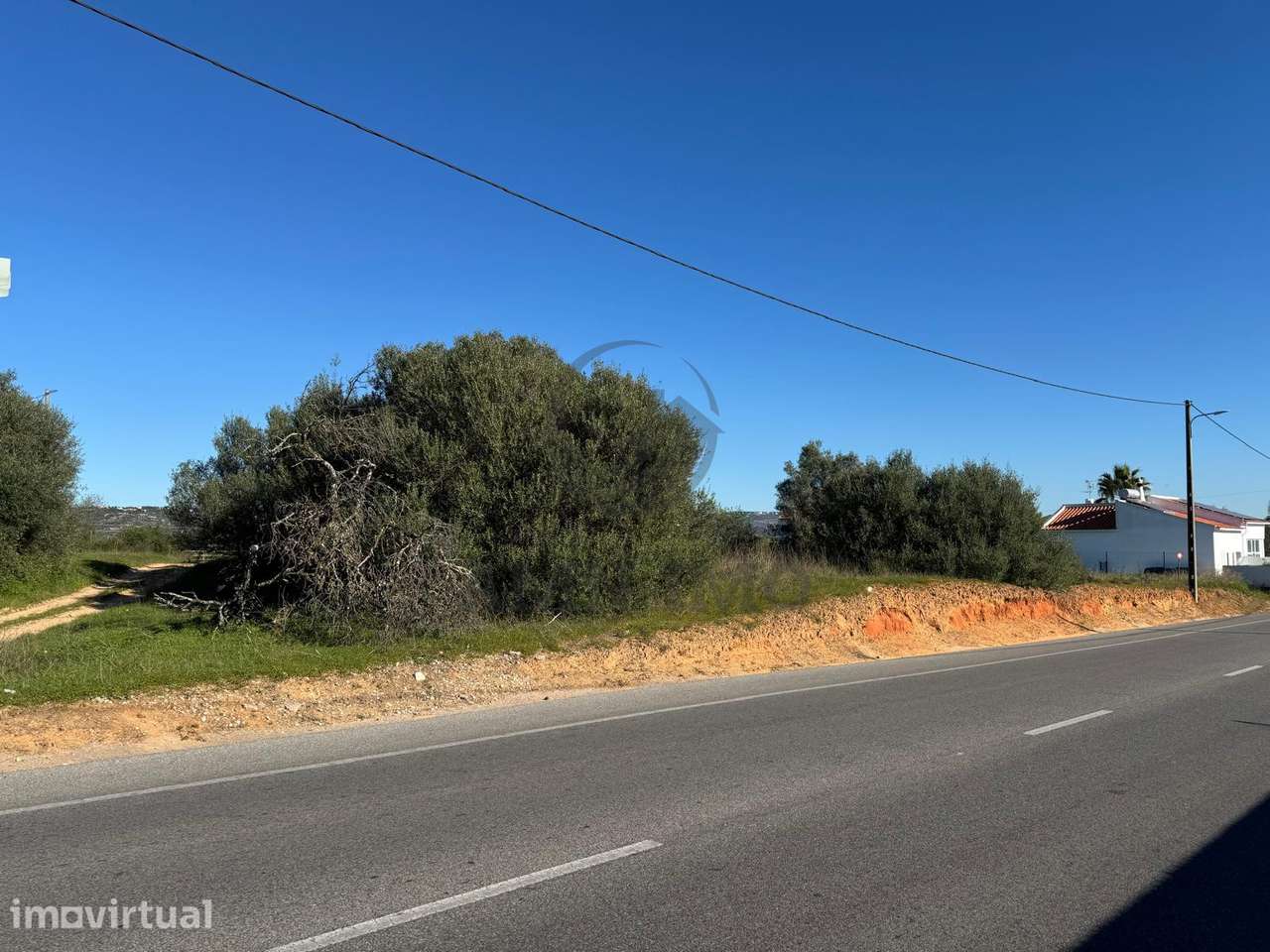 Terreno – Boliqueime (Pata de Baixo) - Grande imagem: 2/4