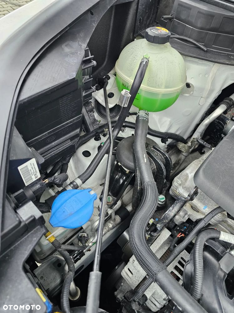 Kia Sportage - 19
