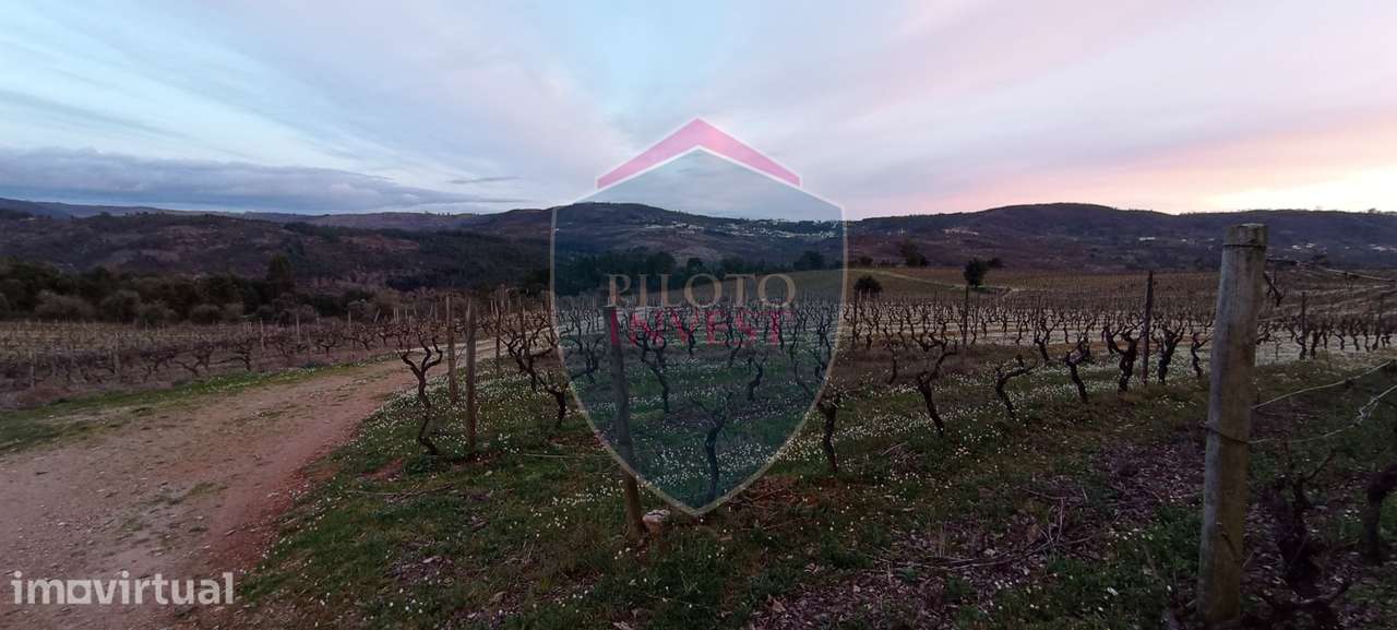 Quinta  Venda em Sezures,Penalva do Castelo - Grande imagem: 4/18