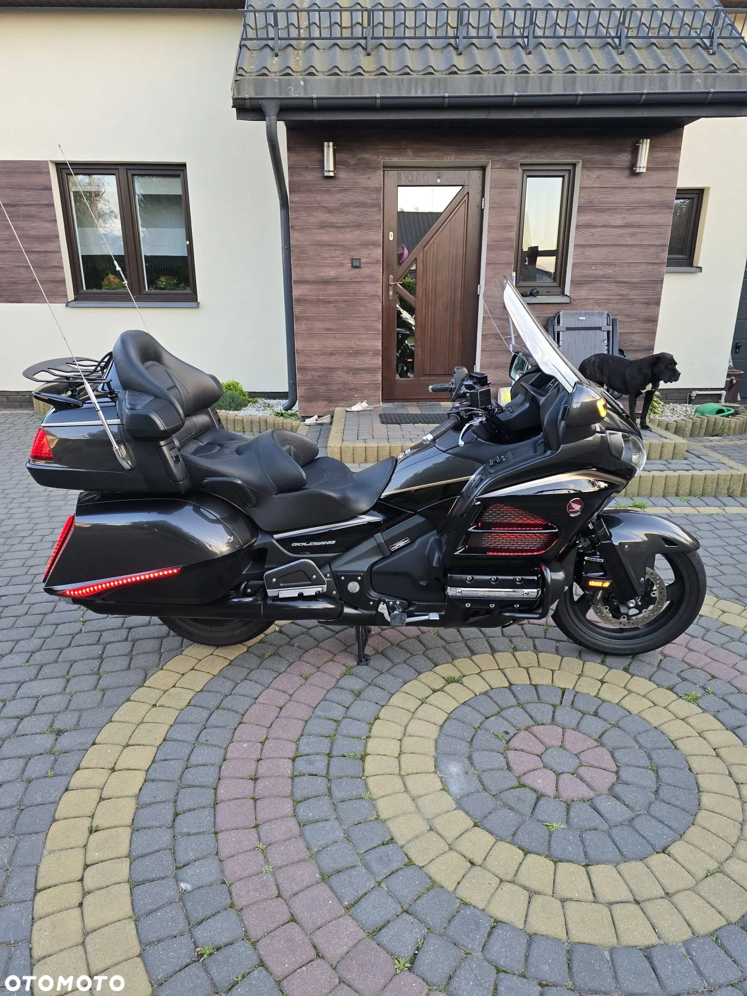 Honda GL - 6