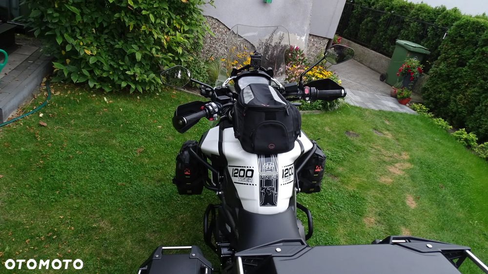 Triumph Tiger - 15
