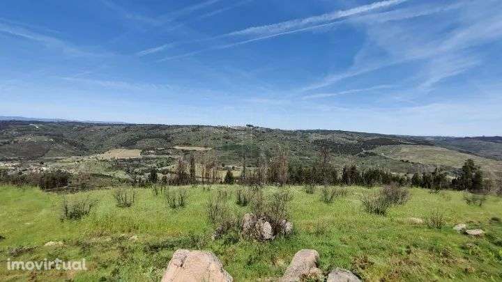 Ruína - Seixo da Beira - Oliveira do Hospital - Grande imagem: 4/12