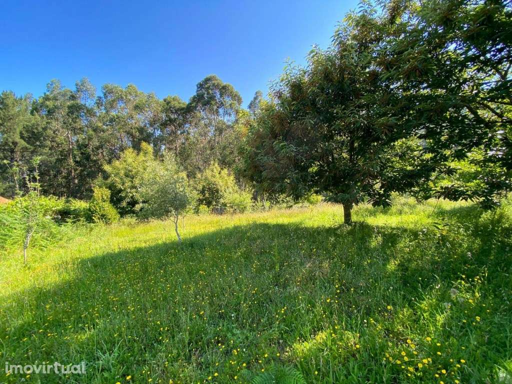 Excelente terreno para construção - Grande imagem: 4/9