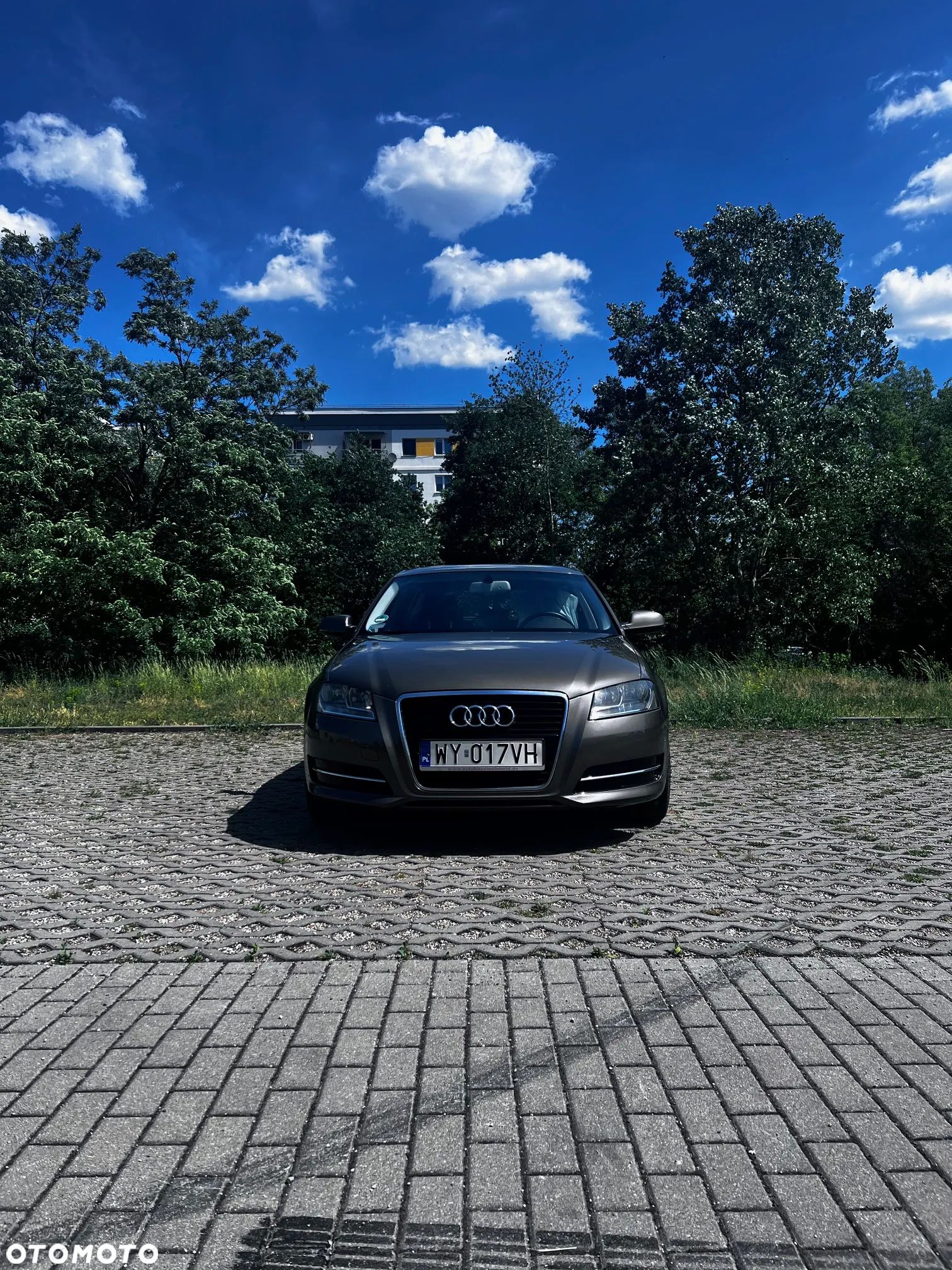 Audi A3 1.6 TDI Ambiente S tronic - 1
