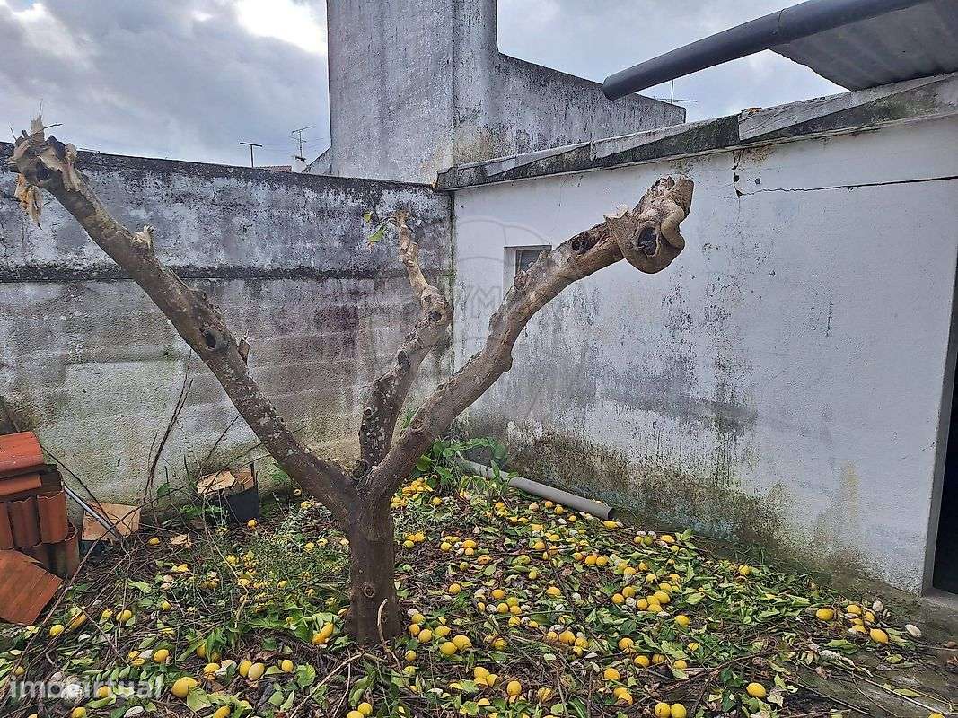 Loja  para venda - Grande imagem: 3/4