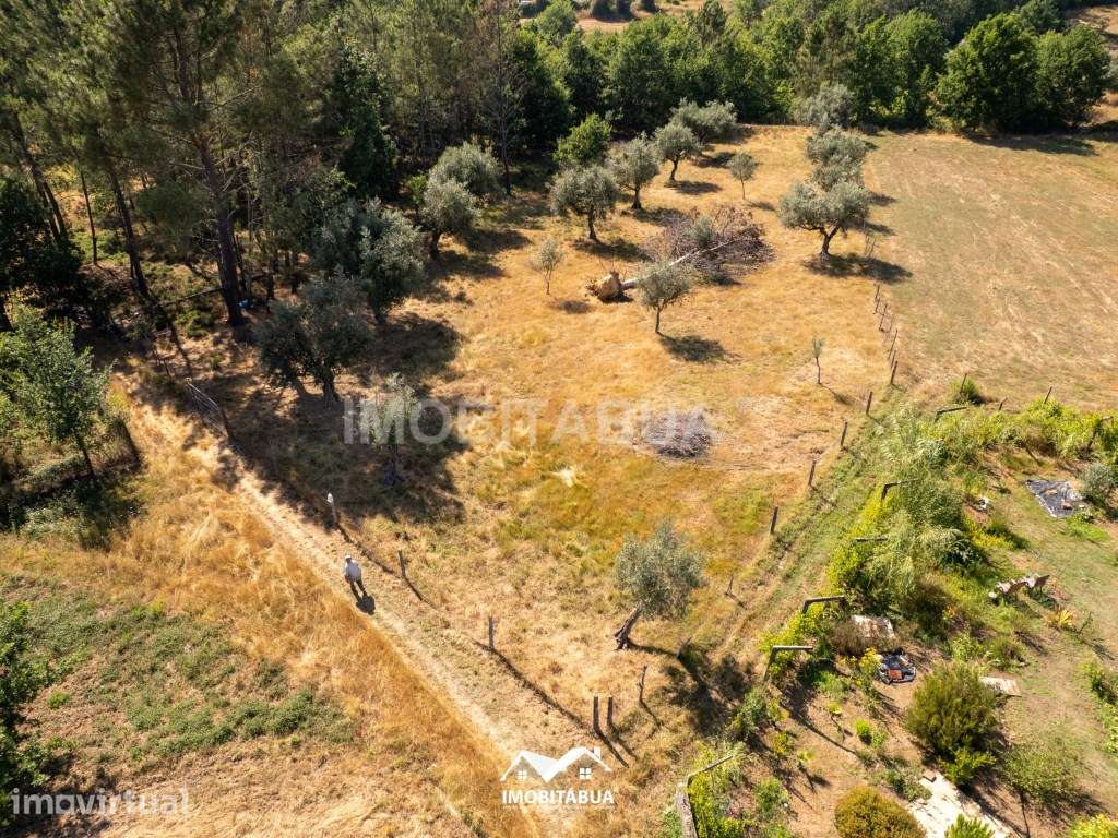 Terreno Rústico com área de 1.850 m2 - Grande imagem: 4/7