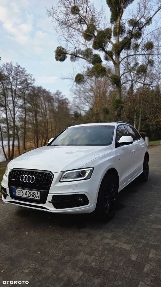 Audi Q5 2.0 TDI clean diesel Quattro S tronic - 10