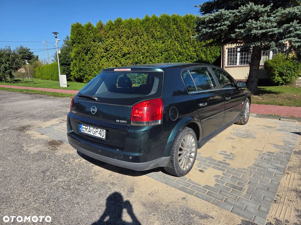 Opel Signum 1.9 CDTI Cosmo - 5