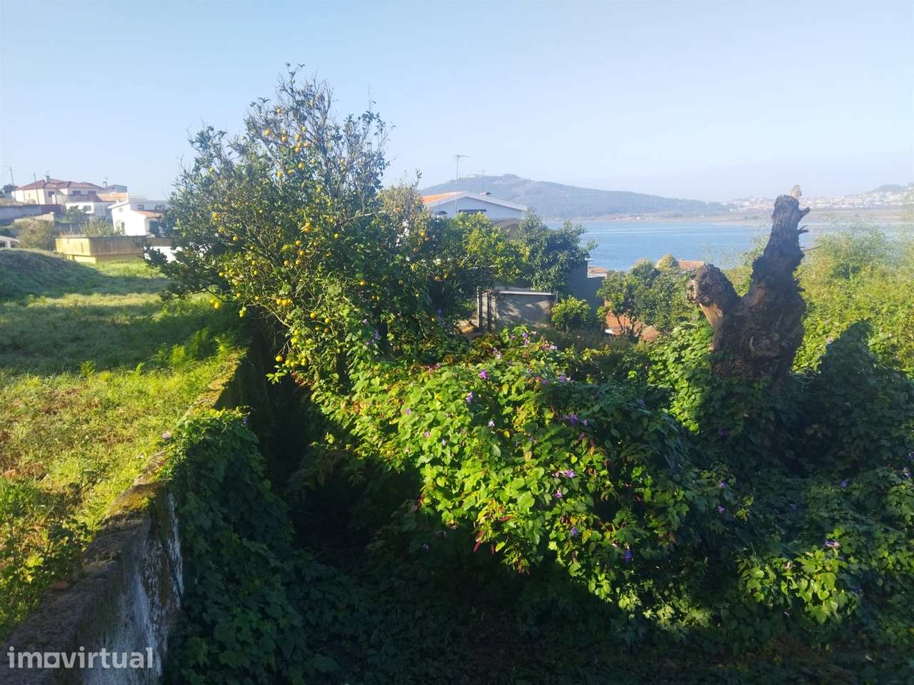 Terreno com Vista Rio em Seixas (480 m²) | Caminha - Grande imagem: 5/11