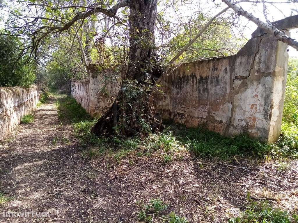 Terreno Rustico com 11 136m2, Loulé, Algarve - Grande imagem: 4/18